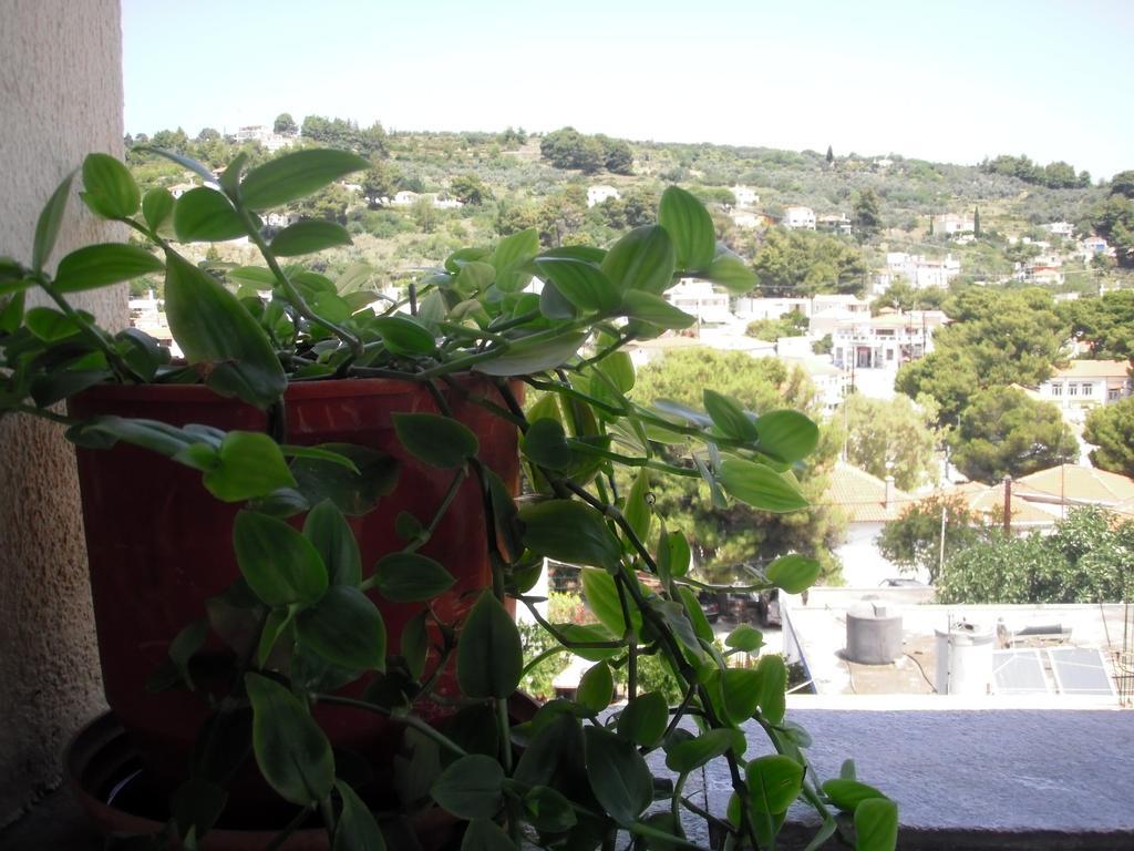 Apartmán Ikos And Patitírion