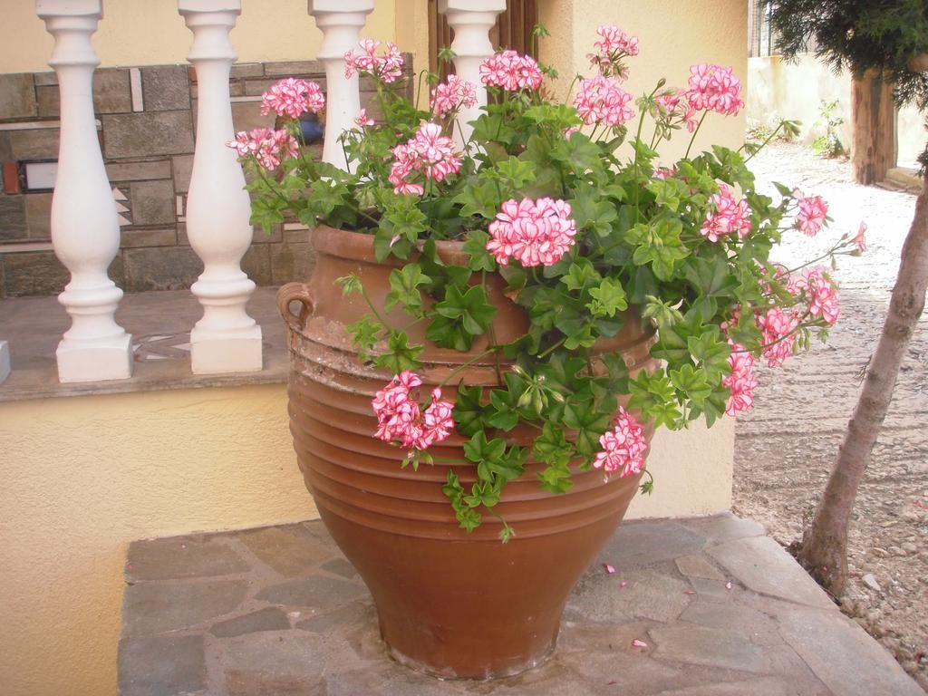 Apartmán Ikos And